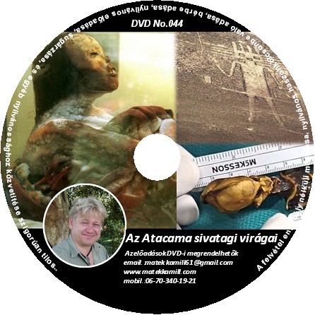 Az Atacama sivatagi virgai Előads DVD