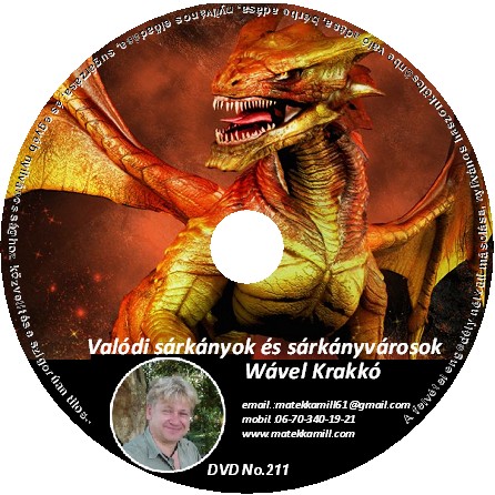 Valdi srknyok s srknyvrosok Krakk előads DVD