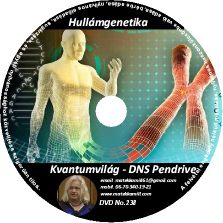 Hullámgenetika Kvantumvilág  DNS pendrive előadás DVD