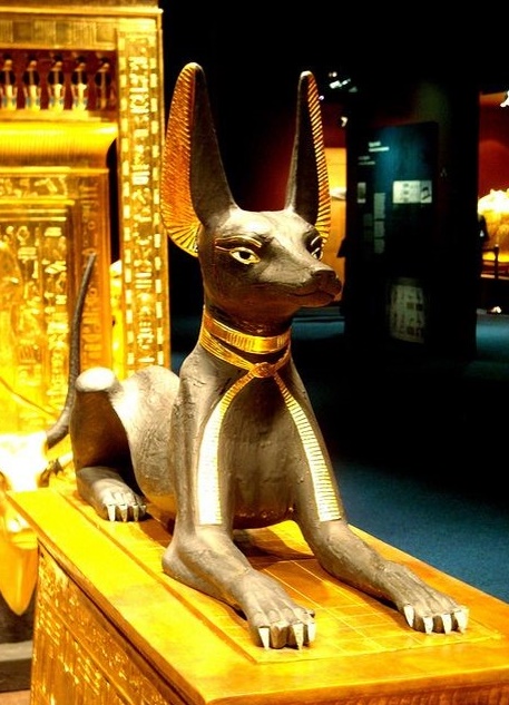 Anubis Tutankhamon kincse