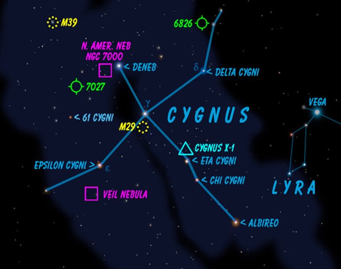 Cygnus  X